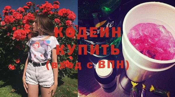 индика Осташков