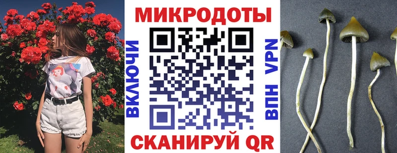 Псилоцибиновые грибы ЛСД Белогорск