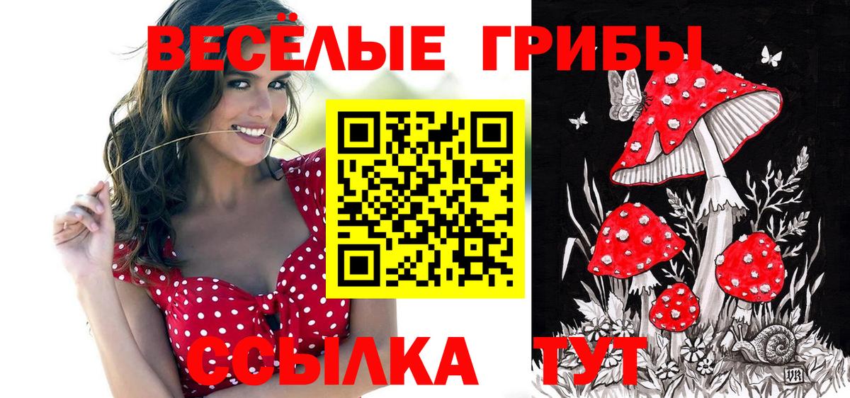 Белогорск  Псилоцибиновые грибы Psilocybe  Вход с VPN 