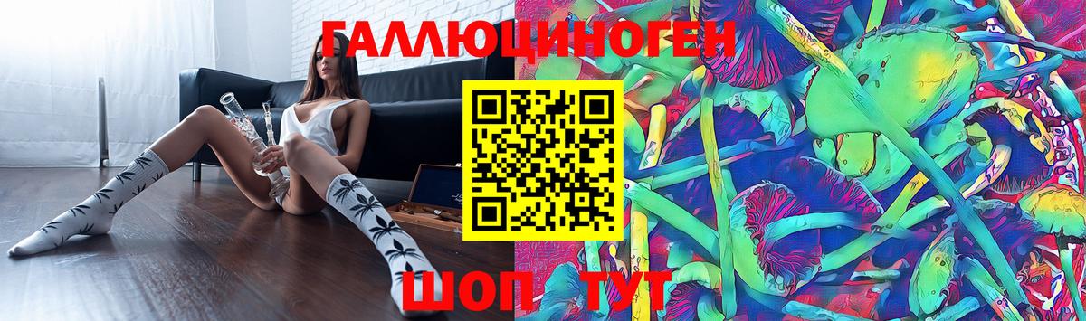 Псилоцибиновые грибы Cubensis Белогорск
