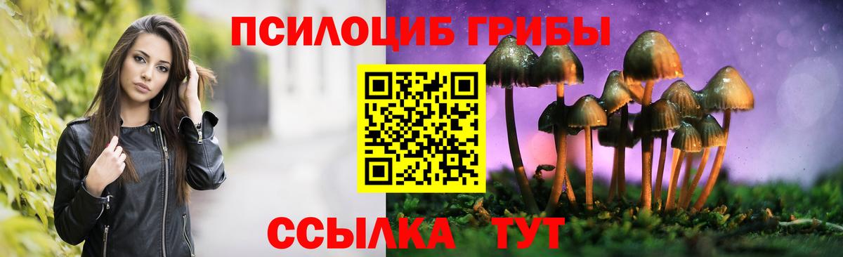 Галлюциногенные грибы мицелий  Белогорск 