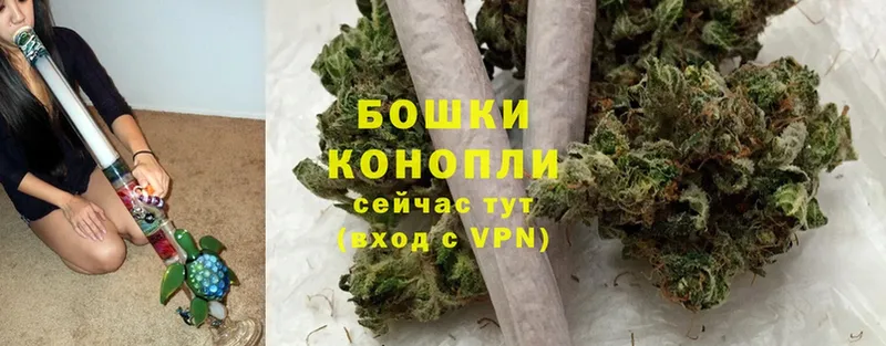 Канабис White Widow  цены   Белогорск 